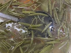 -协和菜馆(凤凰街店)