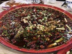 -东吴霸王兔(松青路店)