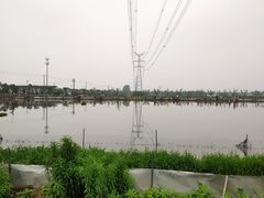-梁鸿国家湿地公园