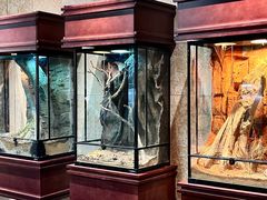 -帕帕拉兹宠物(亚洲旗舰店)