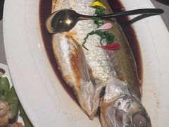 -醉庐·新上海菜(南京西路店)