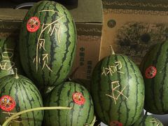 -庞各庄翠芳园西瓜蔬菜基地采摘园