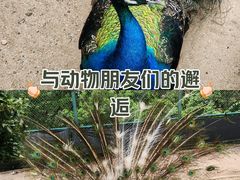 -万佛湖风景区