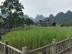 -明仕田园