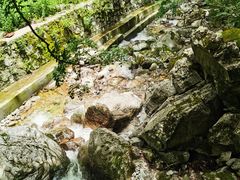 -牛背梁国家森林公园