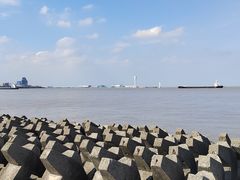 -上海滨江森林公园