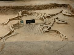 -洛阳周王城天子驾六博物馆