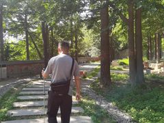 -阳台山自然风景区