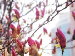 -首都图书馆-咖啡厅