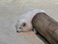 -珠海长隆海洋王国