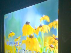-黑桃K生日订制KTV
