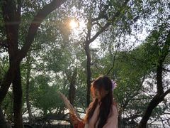 -宝安西湾红树林湿地公园