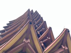 -缙云山景区