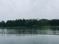 -尚贤河湿地