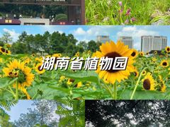 -湖南省植物园