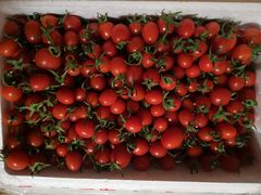 -佳乐家(新华店)