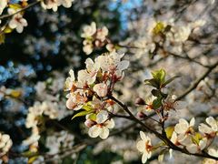 -汉长安城未央宫国家考古遗址公园