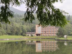 -武陵山森林公园