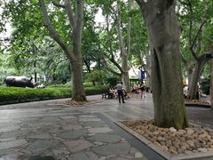 -静安公园(静安寺街道)