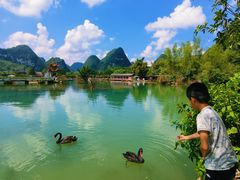 -靖西鹅泉风景区