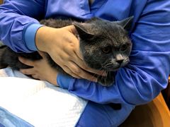 -联合动物医院(光谷诊疗中心)