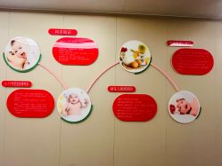 -中法母婴月子中心(南湖创始店)
