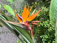 -国家植物园南园