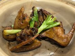 -郑猛记石岐鸽主题餐厅(长江店)