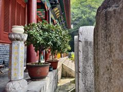 -青檀寺景区