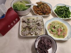 -田螺阿姨自营月嫂·育儿嫂(高新店)