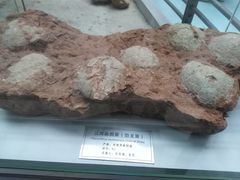 -中国地质大学逸夫博物馆