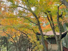-莫干山风景区