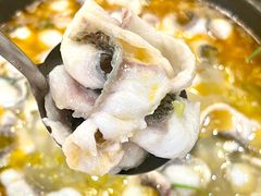 -大鼎石锅鱼(春江里店)