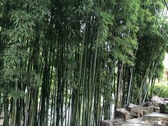 -北寺塔