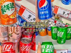 -赵一鸣零食(西南文锋东路店)