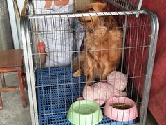 -九龙里集市(六安里店)