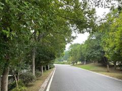 -南京市江宁方山