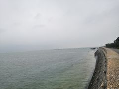 -北海金海湾红树林生态旅游区