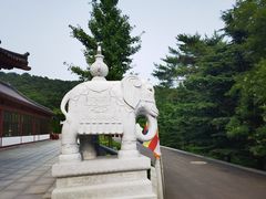 -横山寺