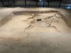 -洛阳周王城天子驾六博物馆