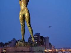 -币舞桥