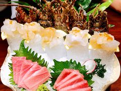 蓝鰭金枪鱼大腹（限）-九井澤精致料理(金茂店)