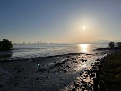 -深圳湾公园(南山区)
