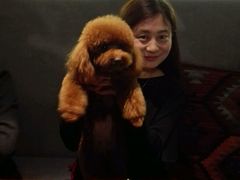 -ZooYoo佐佑咖啡(鼓楼店)