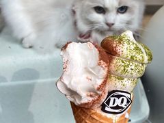 -DQ·蛋糕·冰淇淋(富华里店)
