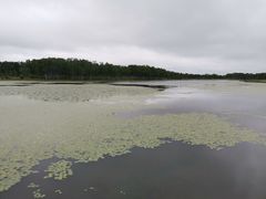 -塞罕坝国家级自然保护区