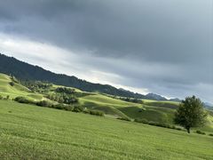 -新疆那拉提国家旅游度假区