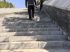 -中原大佛景区
