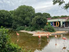 -常州淹城野生动物世界