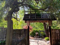 -大连植物园